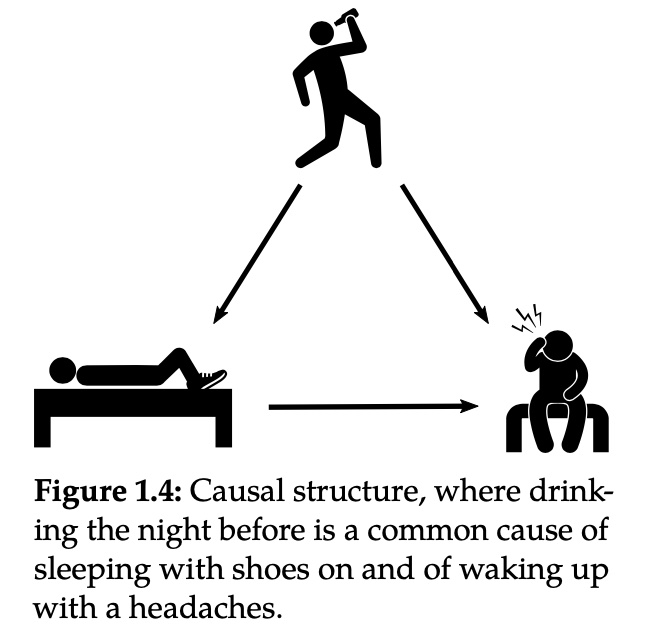 醉酒的因果结构